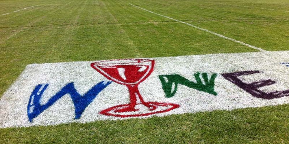 Logos On Grass
